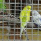 IMG-20181031-WA0008