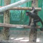 IMG_1793.JPG