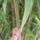 DSCN0538.JPG