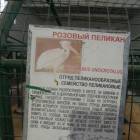 DSCN4956.JPG