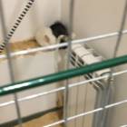 Трогательный зоопарк.93852