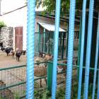 DSC05954.JPG