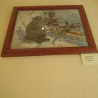 DSCN8791.JPG
