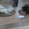 IMG_20160324_150246