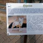 IMG_20160828_082648