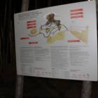 IMG_5445.JPG