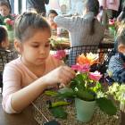 IMG_20180225_152403
