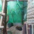 IMG_20160828_083829
