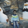20150105_121408