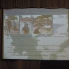 DSCN5630.JPG