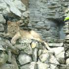DSC05982.JPG