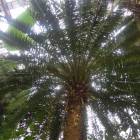 DSCN4797.JPG