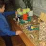 DSC02466.JPG