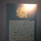 IMG_9541.JPG