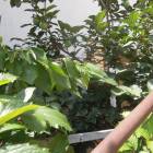 DSCN0552.JPG