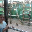 IMG_1794.JPG