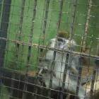 DSCN4870.JPG