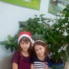 Новый год 2018133831