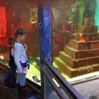 IMG_20171112_184723