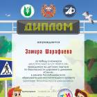Замира Шарафиева 3