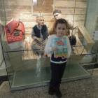 DSCN8474.JPG