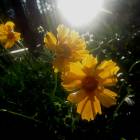 DSCN0319.JPG