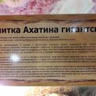 КК№46.Парк тропических бабочек.62354