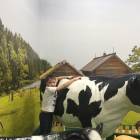 Кидспейс Челны123531