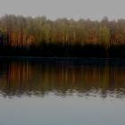 DSCN0337.JPG