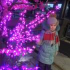 DSCN6648.JPG