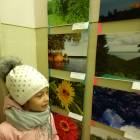 Удивительный мир природы100809