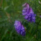 DSCN0364.JPG