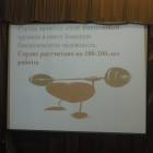 DSCN4257.JPG