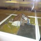 DSC05515.JPG