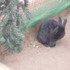 DSCN4890.JPG