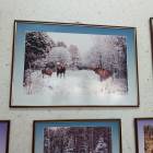 IMG_20181201_112119