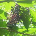 DSCN0348.JPG
