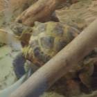 DSCN4862.JPG