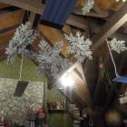 DSCN6738.JPG
