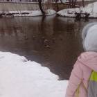 Москва зима 2018 23