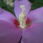 DSCN0462.JPG