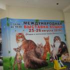 IMG_3728.JPG