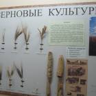 IMG_6544.JPG
