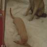 DSCN6824.JPG