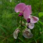 DSCN0578.JPG