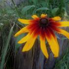 DSCN1671.JPG