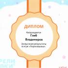 Портфолио достижений146995