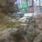 IMG_20171112_191435