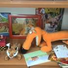 IMG_20181103_154814
