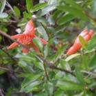 DSCN4787.JPG